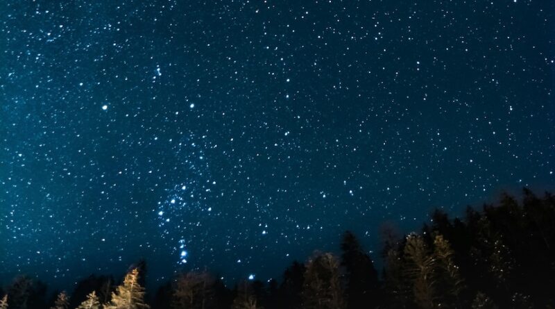 A starry sky with details of trees or forest in the foreground