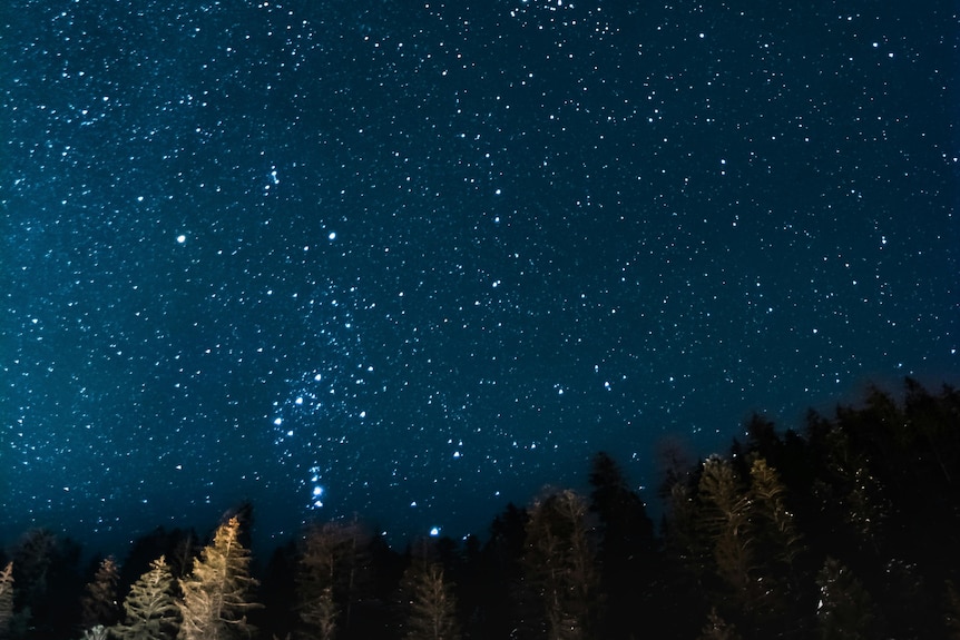 A starry sky with details of trees or forest in the foreground